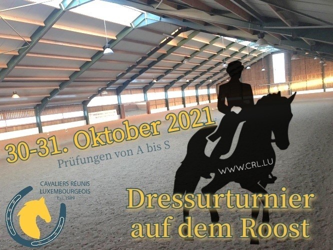 Dressurturnier - Roost
